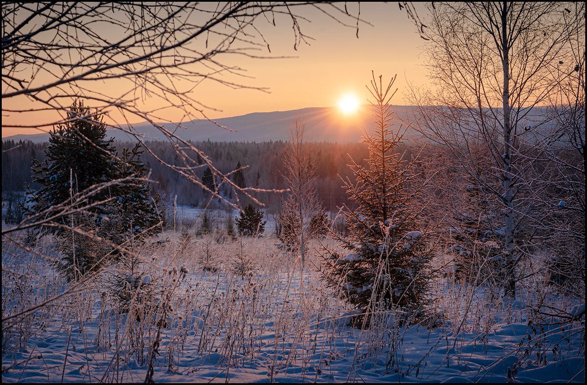 Фото Яндекс картинки