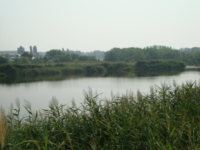 Родные, милые места