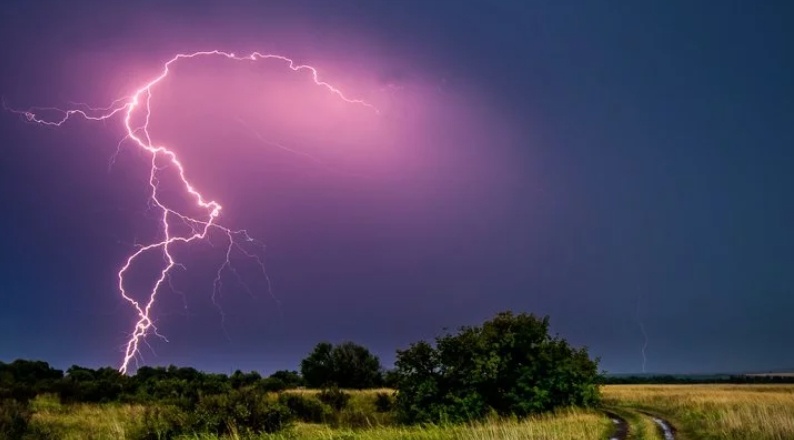 Источник: nat-geo.ru