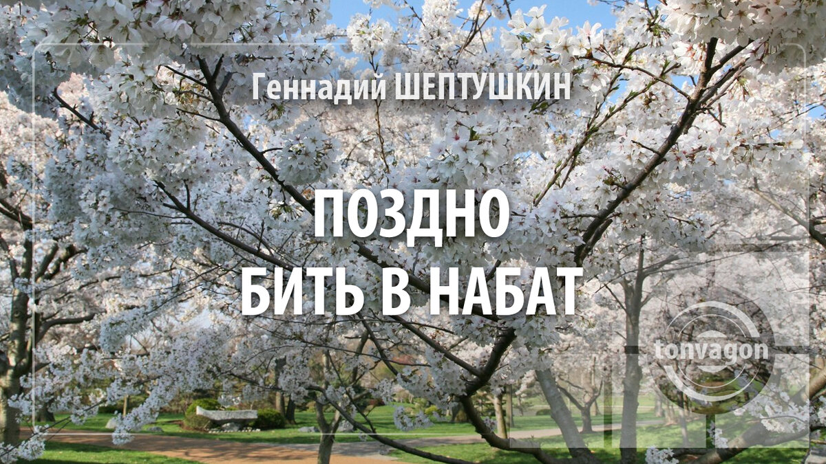 Стихотворение участвовало в конкурсе проекта ТОН-ВАГОН