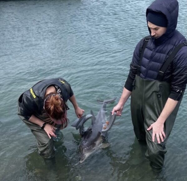    Фото предоставлено центром «Дельфа»