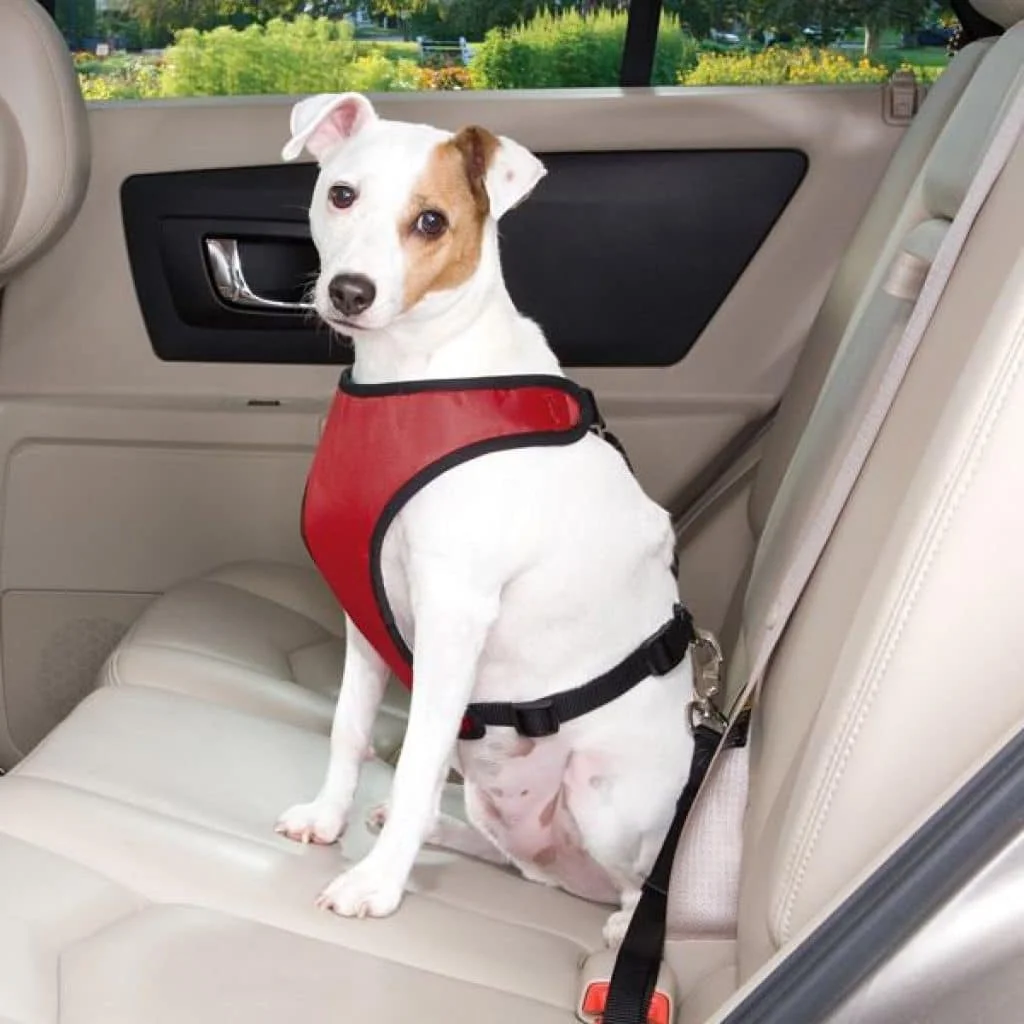 Pet Seat Belt. Авто шлейка для собаки. Шлейка для перевозки собаки в машине. Пристегнутая собака.