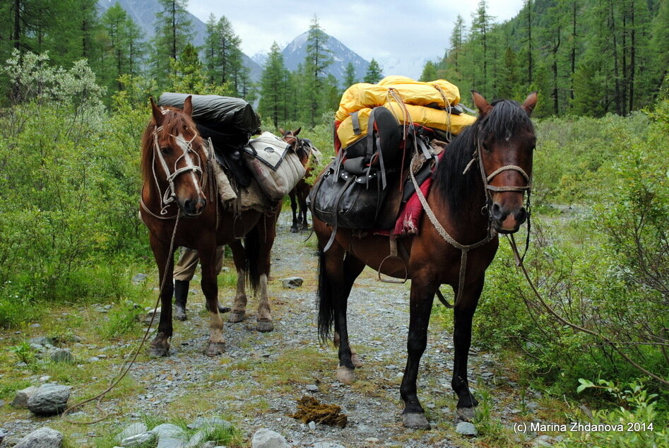 фото из интернета