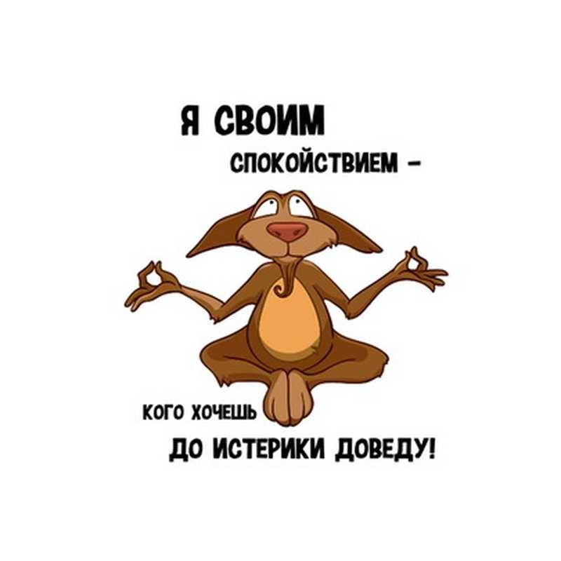 Всегда в ресурсе. Спокойствие только спокойствие. Анекдоты про спокойствие. Цитаты про спокойствие смешные. Спокойствие надпись.