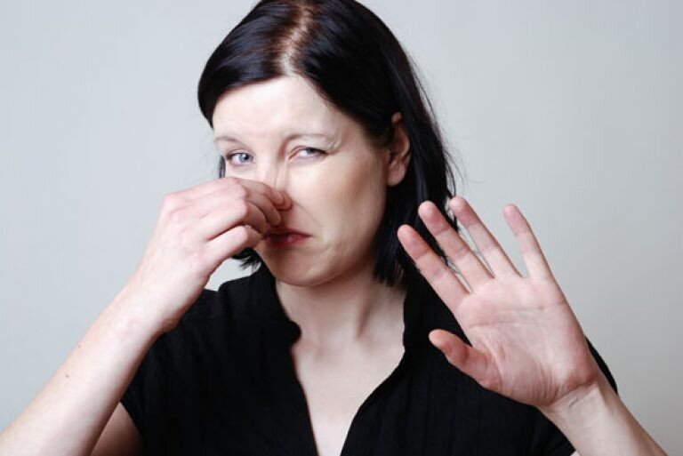 Яндекс. Картинки