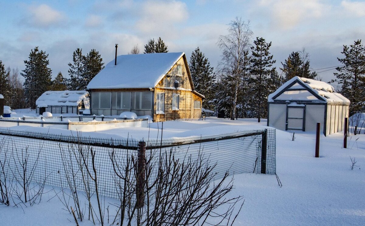    На дачах Сургута в тридцатиградусный мороз отключили электричество