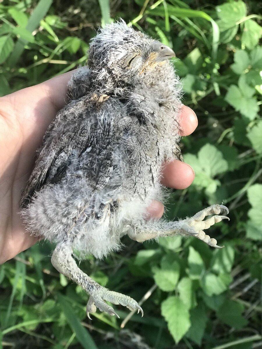 Очень жалко :(