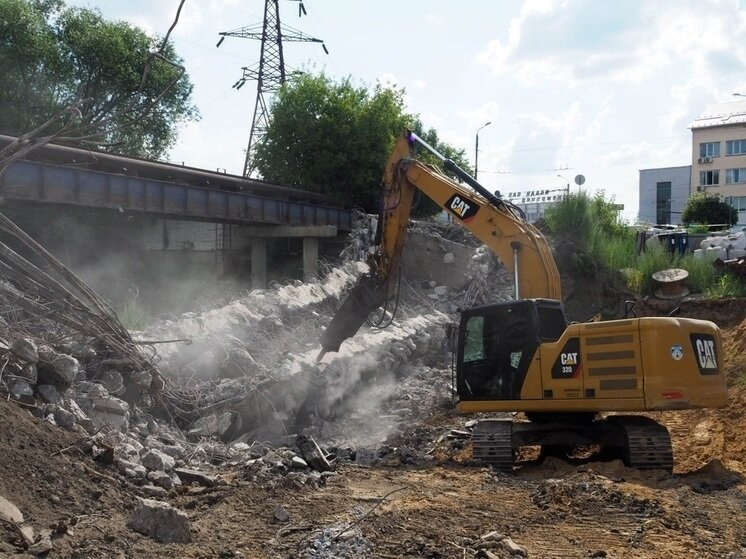     Фото: Дмитрия Денисова