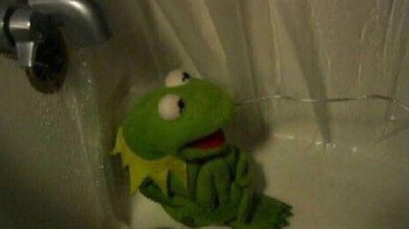 Люди, которые сдают литературу