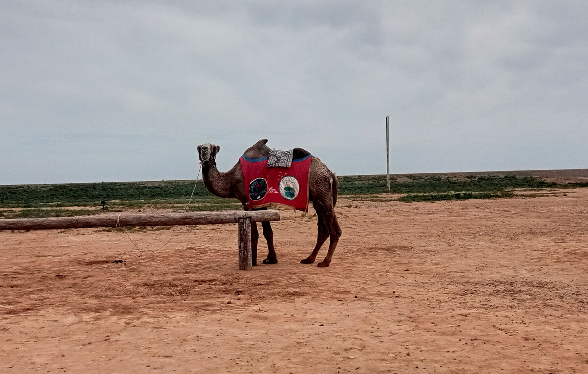 Увидите с права от дороги верблюда и юрты это страна Бумба. На въезде в Адык.