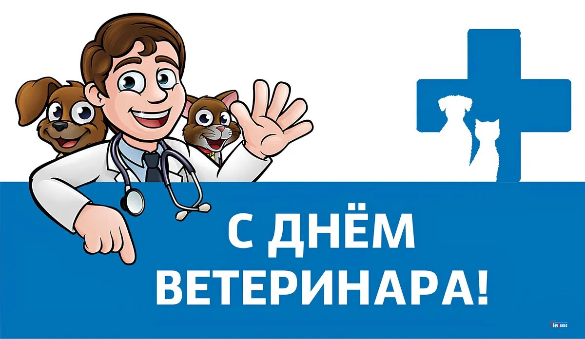 Фото: Весь Искитим
