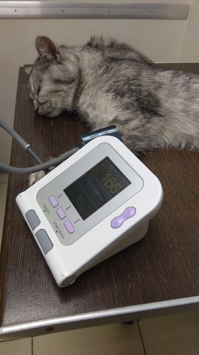 личное фото