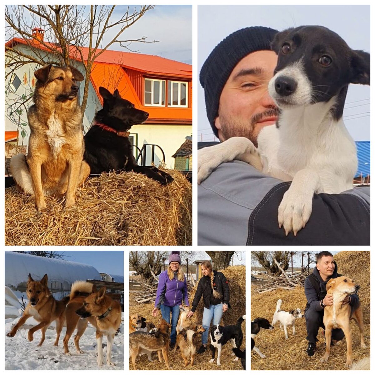 Спасеные хвостатые