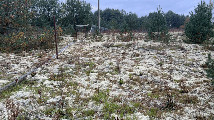 Околица деревни Зальцо