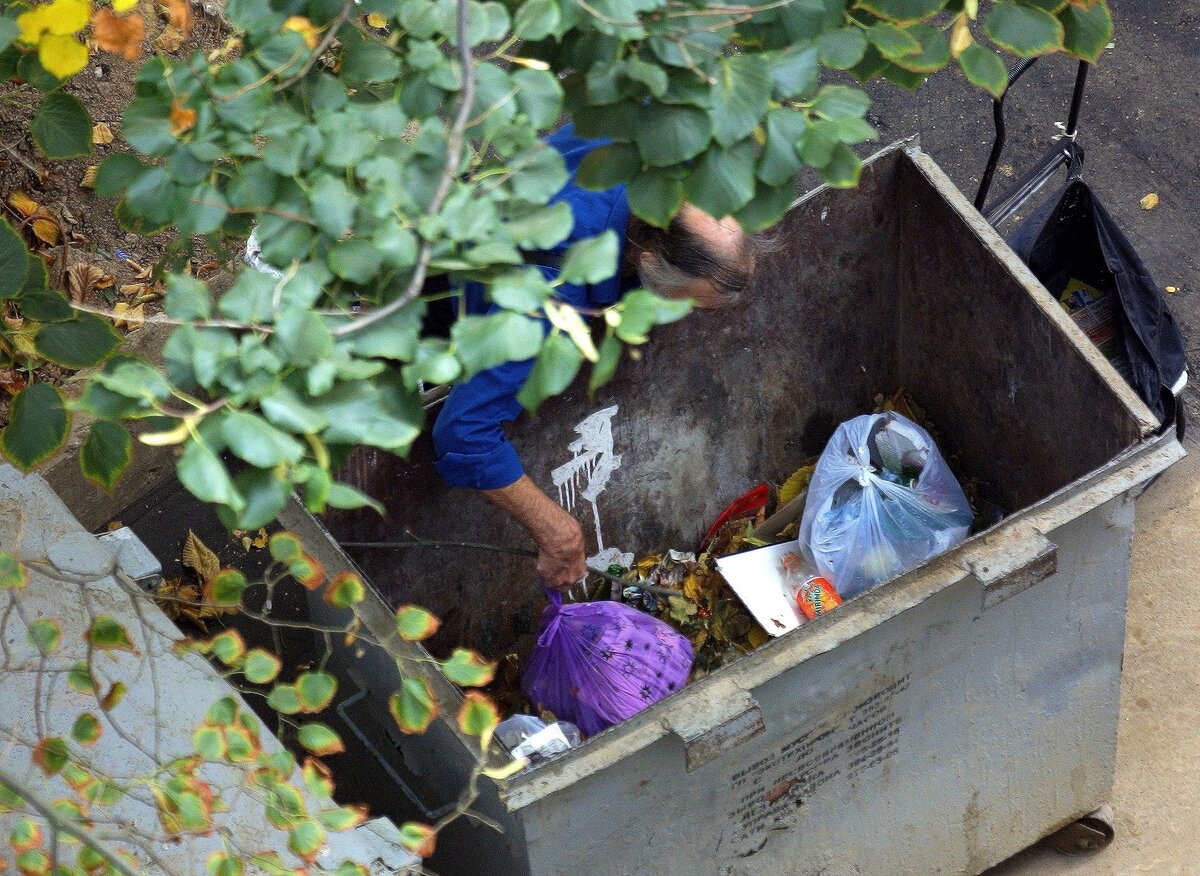 Младенец в мусорке новосибирск. Выбросили ребенка в мусорный бак. Трупы в мусорных контейнерах. Цветы в мусорке.