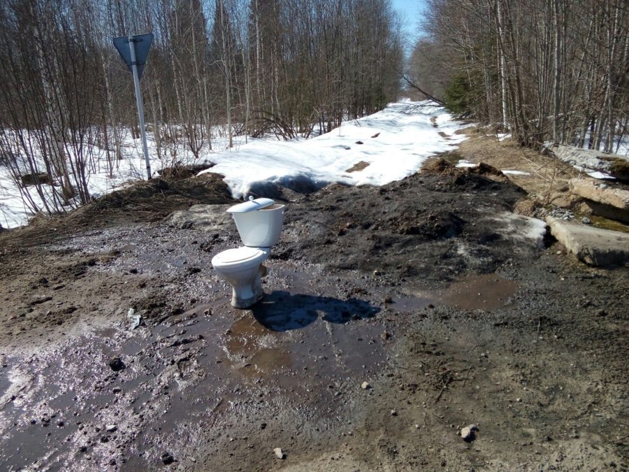 Унитаз вписался в обстановку.