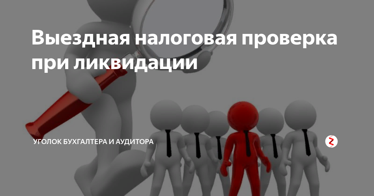 Налоговая проверка при ликвидации ооо. Виды выездных налоговых проверок. Выездная налоговая проверка. Порядок ликвидации ооо. Ликвидация ооо по решению налоговой.
