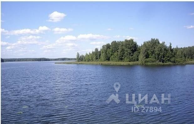 Большой участок у воды, окруженный лесом