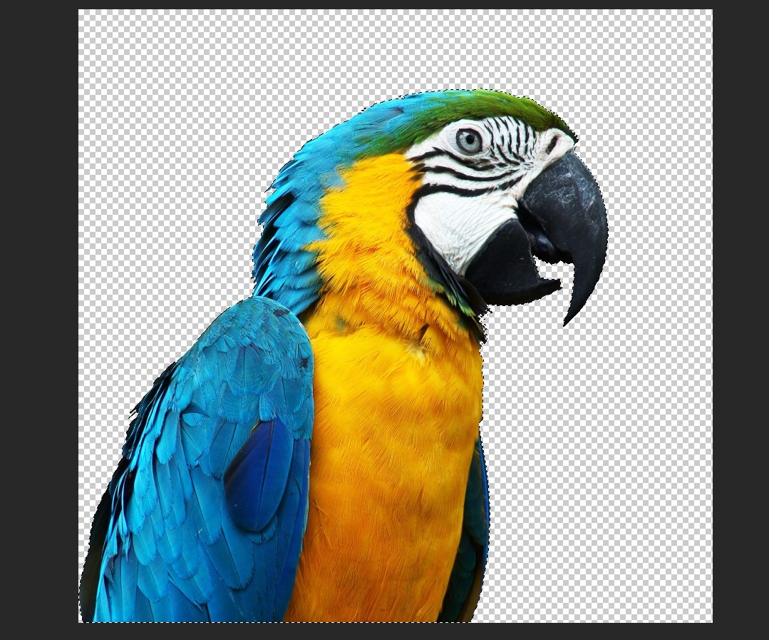 Размеры картинки - 1779х1720 пикселей, 3.12мб