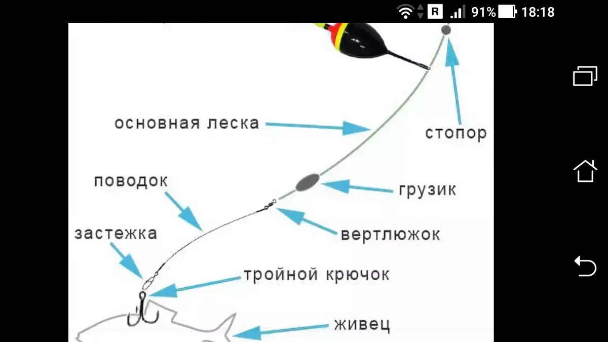 Поплавочная снасть на щуку с живцом оснастка Простая живцовая снасть с поплавком, снасть тройным крючком Фото заметки из моей