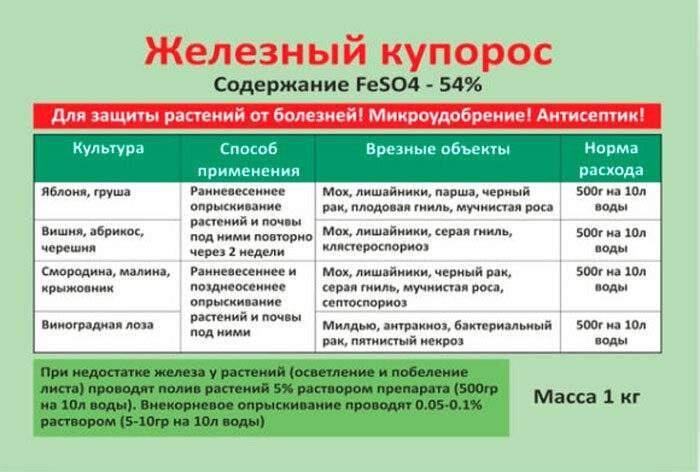 Как опрыскивать помидоры медным купоросом