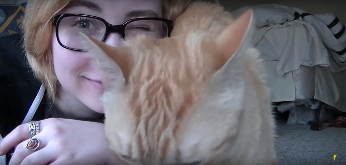 Ну как их можно ненавидеть? Сейчас же поставьте лайк если, любите животных? 