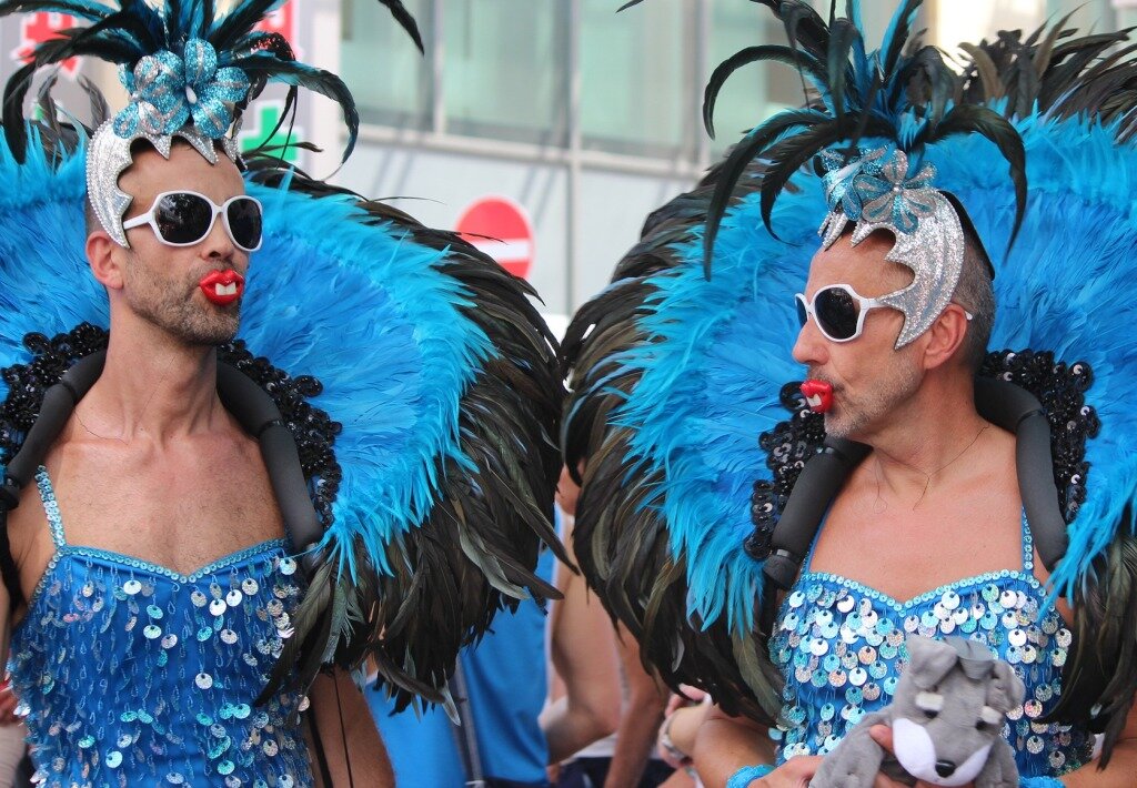 Губы выглядят определенно глупо                                                                       Источник: pixabay.com