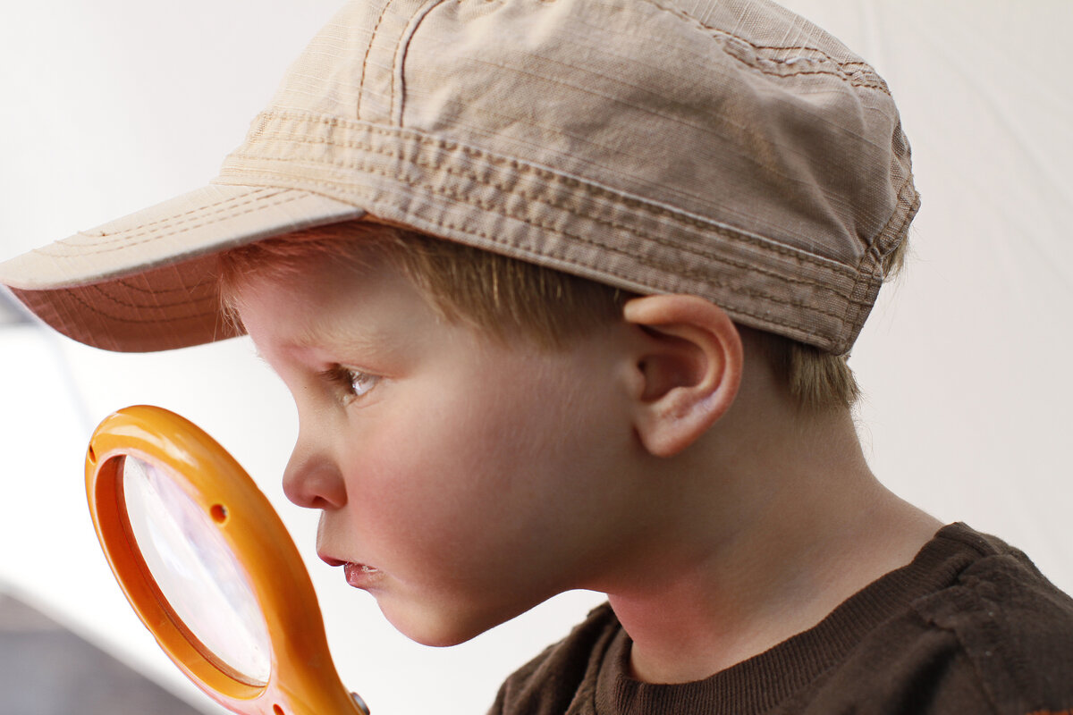 Маленький шпион carrietayloe/www.flickr.com/CC0