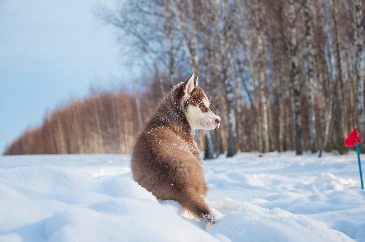 Малышка на первой фотосъемке
