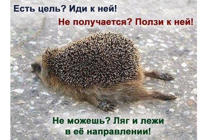  
Собственно, на минувшей неделе в нашей жизни мало что изменилось. Наступил какой-то период, который можно назвать, пожалуй, периодом затишья, но все-таки тревожного.

Напряжения добавила и погода. Практически всю неделю в Хакасии дул ветер, доставивший немало хлопот.

В целом в стране тоже, в принципе, без особых изменений. Мы продолжаем существовать с одним вопросом в голове: а что же дальше? Ведь то, что называют бардаком, у нас никто не отменил, если не сказать жестче. Но мы к этому так утомительно привыкли, что на ум приходит мысль: а может это и не бардак вовсе, а вот такой самый что ни на есть порядок.

Тем более, что духовно мы, можно сказать, окончательно почили и всей страной дружно погрязли в бескорыстной любви к деньгам, которых по-прежнему нет, а мы должны держаться, как завещал пока что непревзойденный классик - наш вдохновитель  Дмитрий Медведев.

Ведь без денег, в силу  определенной финансовой политики  с растущими ценами, налогами и бесконечными обязательствами перед государством, которое, в свою очередь, нам, оказывается, ничего не должно, мы, как говорится, ни туда и не сюда. Так что ждем дальше. Хотя сила у нас есть, воля есть, а вот силы воли, кажется, нет и в помине, чтобы заявить о себе и, наконец, спросить твердо у слуг народа: до каких же пор это будет продолжаться? Но нет. Как говорится, ползем дальше с гордо поднятой головой.

Они там, наверху, конечно, периодически грозят нам улучшением, объясняя те или иные свои действия и умопомрачительные нововведения по отношению к населению, но говорить, как подметил мудрый народ, не кули ворочать. Говорильни у нас с избытком, а вот должных результатов пока ноль.

Хотя, на минувшей неделе наш гарант все чаще стал подчеркивать, что вся деятельность власть имущих должна служить одной цели: улучшению жизни граждан. Давненько такого не было. Что-то, похоже, его не на шутку взволновало. Скорее всего, катастрофически падающий рейтинг доверия. Но в любом случае, это мы уже проходили, поэтому серьезных надежд не возлагаем и на подобные заявления. Хотя отдельные из них на минувшей неделе все-таки слегка задели за живое.
Что сказал Путин

На минувшей неделе президент , выступая 28 ноября  на форуме «Россия зовет» в Москве, успокоил россиян, отвечая на вопрос, как будет выглядеть Россия на следующий день после того, как Путин покинет политическую сцену. Он заявил, что с этим вопросом торопиться не стоит.

    «Куда вы так спешите, я пока никуда не собираюсь», – заявил президент. После чего подчеркнул, что Россия – «уверенная и самодостаточная» страна.

И тут же, на этом же форуме, президент откровенно признал, что темпы роста экономики РФ недостаточны для кардинального повышения уровня жизни людей. Вот и весь сказ.

Напомним, в мае Путин вступил в очередной шестилетний президентский срок. Он продлится до 7 мая 2024 года. Так что пока без комментариев.
В Хакасии коммунизм пока не построили, но…

А у нас в республике ветер и мороз. Остальное все по плану.

На минувшей неделе продолжалась работа комиссии по формированию состава правительства РХ. Ожидалось, что о новой структуре кабмина будет сообщено на сессии ВС РХ. Но не случилось. Так что правительство народного доверия продолжает формироваться. Будем ждать, что из этого получится.

А на сессии ВС Хакасии, которая состоялась в среду на прошедшей неделе, в первом чтении  принят  бюджет  на 2019 год, комментируя который глава бюджетного комитета, а теперь и член президиума Верховного Совета Олег Иванов назвал вполне реалистичным. И, если кратко, то основные параметры бюджета Хакасии на 2019 год выглядят следующим образом:

Расходы — 32 783 209 тыс рублей;

Доходы — 30 658 255 тыс рублей;

Дефицит —  2 124 954 тыс рублей.

На сессии полномочий депутата ВС РХ лишился Валентин Коновалов. По закону, в связи с избранием на пост главы Хакасии он не может одновременно быть депутатом.

Вакантное место пока будет свободно до следующих выборов, потому что  Коновалов избирался как одномандатник. Выборы депутата ВС РХ на вакантное место состоятся только в следующем году.

Определились депутаты ВС РХ и с кандидатурой на должность уполномоченного по правам человека. По итогам рейтингового голосования определился лидер — Марина Сивирина. До сессии она занималась юридической практикой.

Теперь нового омбудсмена должен согласовать уполномоченный по правам человека Российской Федерации. И только после этого она полноправно вступит в должность.

Верховный Совет Хакасии готовится выбрать также и своего представителя в Совет Федерации РФ.

Сенатор от правительства республики Валерий Усатюк в Москву уже улетел и приступил там к работе. Именно его новый глава Хакасии Валентин Коновалов назначил своим постановлением на ответственную должность. Усатюк сменил Валентину Петренко от «Справедливой России».

А вот на место сенатора от ВС РХ претендуют: Светлана Могилина, Роман Абрафиков, Валерий Старостин, Александр Семенов, Игорь Пономаренко и другие. Но на сессии 28 ноября сенатора от ВС РХ не выбирали. Вопрос непростой, тем более, что на это весьма доходное по зарплате место слишком много желающих, да и саму ситуацию вокруг этого вопроса однозначной назвать нельзя.

Напомним, ранее депутаты не продлили полномочия представителю хакасского парламента в Совете Федерации Евгению Серебренникову.

А на этот раз пока от обязанностей секретариата сессии освобожден депутат от ЛДПР Роман Абрафиков. Вполне логично предположить, что это произошло в связи с намерениями Абрафикова всерьез побороться за должность в сенате.

Кроме того, на очередной сессии Верховного Совета Хакасии депутаты одобрили проект закона, предусматривающий внесение  изменений в республиканский закон  «Об организации деятельности пунктов приема и отгрузки древесины на территории Республики Хакасия», упростив порядок их работы.

Глава правительства Валентин Коновалов на минувшей неделе встретился с депутатом Госдумы от Хакасии Надеждой Максимовой. Основной темой разговора стало участие Хакасии в национальных проектах. А жителям региона Надежда Сергеевна доложила о том, что уже с января 2019 года вступят в силу изменения в законодательстве, за счет которых будет увеличен ряд социальных выплат. И что «все эти меры, безусловно, направлены на то, чтобы жизнь граждан улучшалась адекватно современным экономическим реалиям».

30 ноября Валентин Коновалов впервые в статусе губернатора региона отметил свой 31 день рождения.

Напомним, что получив доверие жителей республики на выборах главы республики 11 ноября 2018 года, он пополнил топ  самых молодых губернаторов России, став шестым по списку. О пышных поздравлениях публикаций в местных СМИ не последовало. Известно лишь, что с датой его поздравил Геннадий Зюганов, патриарх Кирилл и батька Александр  Лукашенко.

В конце недели глава Хакасии Валентин Коновалов обнародовал свое обращение к населению республики с благодарностью за поддержку и приносит извинения всем, кто пока безответно обращается к нему с вопросами и просьбами через интернет. Вопросов поступает много и Валентин Коновалов сетует, что высокая занятость не всегда позволяет даже своевременно просмотреть поступающие интернет-письма, а уж тем более поддерживать переписку. «Я благодарен всем, кто поддерживает меня и искренне желает успешной работы, а также приношу извинения тем гражданам, кому не могу ответить на конкретные вопросы. Пока это физически невозможно, очень много внутренней организационной работы», — пояснил Валентин Коновалов.

В настоящее время неотложными задачами главы Хакасии являются качественное формирование правительственной команды управленцев, утряска всех бюджетных вопросов на следующий год и защита финансирования нацпроектов в федеральном центре, обеспечение безаварийной деятельности систем жизнеобеспечения и инфраструктуры, своевременность выплат социального назначения.

Вместе с тем, глава Хакасии ещё раз подчеркнул, что принцип открытости и организация обратной связи лягут в основу работы нового правительства. Валентин Коновалов намерен регулярно держать отчёт перед избирателями посредством телевизионных прямых эфиров и ресурса Интернет. Анонсирование таких выступлений будет проводиться заблаговременно. Кроме того, руководители республиканских министерств и ведомств также на системной основе будут практиковать выездные дни приёма граждан как по социально-значимым, так и по личным вопросам. Все разумные и эффективные формы взаимоотношения власти и общественного мнения будут взяты на вооружение и использованы в интересах благополучия и безопасности населения Хакасии.
О безопасности

Всю прошедшую неделю в Хакасии добровольцы и спасатели искали в окрестностях заснеженного поселка Приисковый четверых туристов, которые 24 ноября на снегоходах уехали в неизвестном направлении и не вернулись. За поисками, которые ведутся и на земле, и с воздуха с тревогой наблюдает вся Россия. Новости из района поисков поступали самые разные. Сначала были найдены снегоходы, потом следы и стоянка людей. Появилась было надежда. Но, к сожалению, до сих пор пропавшие туристы так и не найдены. И это  говорит в первую очередь о том, что вопрос бесконтрольного туризма в Хакасии пора решать безотлагательно и кардинально.
Тревожное затишье

А между тем, наступила зима. До всенародно любимого праздника Нового года остается всего ничего. Что ожидает нас в ближайшем будущем? Пожалуй, ничего жизнеутверждающего пока не слышно и не видно. Продолжаем купаться в проблемах, безденежье и жизненных неурядицах.

Информационные ленты буквально пестрят жуткими экономическими прогнозами, новыми датами конца света, предчувствием войны и катастроф. Но на самом деле никто не знает, насколько близок апокалипсис. Но определенно ясно: 2019 год спокойным не будет. Об этом говорят ведущие экономисты, эксперты и аналитики всех мастей. В 2019 году Россию ждет кошмарный год свиньи,- пишут издания.

А текущий год движется к завершению.  Еще немного - и мы вступим в новое временное состояние вместе со всеми «достижениями» уходящего  2018 года.

А это: пенсионная реформа, которая просто ошарашила подавляющее большинство россиян, особенно тех, кто еще не вышел на пенсию; повышение НДС до 20%, что повлечет за собой дороговизну во всех сферах нашей жизнедеятельности; очередное повышение тарифов ЖКХ и акцизов на топливо, их рост мы ощутим уже под звон новогодних бокалов; налог на самозанятых со всеми вытекающими последствиями; закон об ограничении митингов… Вполне возможно, скоро и говорить вообще запретят.

Кроме того, с нами остаются падение доходов, платные детские сады, школы, платное здравоохранение (бесплатно только самое минимальное), дороговизна лекарств, низкие заработные платы; коррупция сверху донизу; одинаковая налоговая процентная ставка для бедных и богатых, благополучие олигархов, огромные зарплаты руководителей государственных корпораций, раздача в аренду земель иностранным государствам, недоступное жилье для большинства населения страны, низкое качество образования, растущие цены  и бесконечное вранье.

Ведь лозунг об улучшении жизни россиян начал звучать с начала этого года. Теперь понятно, что это было подготовкой к выборам.

Так вот: до выборов президент говорил, что экономика российская на подъеме и что мы реально можем войти в ТОП-5 экономик мира. Однако до выборов наша жизнь явно не улучшилась, а после выборов, как известно, глава государства «улучшение жизни граждан» оформил на бумаге в виде майских указов. Это ответственное дело он поручил тому же классику Медведеву и заявил, что лично проконтролирует реализацию этих указов.

Но в то же время возникает вопрос: а как же майские указы 2012 года? Ведь Путин и тогда говорил то же самое и тот же самый человек их реализовывал. Точнее — провалил, хотя на реализацию были выделены немалые деньги.

Еще в начале марта, в апреле и мае глава государства говорил, что экономика России на подъеме. Однако теперь Путин так больше не считает. И на минувшей неделе вдруг откровенно признал, что «темпы роста экономики РФ недостаточны для кардинального повышения уровня жизни людей»… А для нас наивных, видимо, сама ложь была настолько избитой, что долго казалась истиной…

Так что ничего обнадеживающего хоть на какие-то позитивные перспективы нет и в ближайшее время не предвидится. После новогодних каникул мы проснемся уже в другой России. Где будет так же много вранья. И жизнь, отделенная от государства, которое не собирается отдавать долги своим гражданам.  Так что придется ползти дальше. Возможно, все еще с гордо поднятой головой. Если силенок хватит.

АДИ, Алексей Стоян

