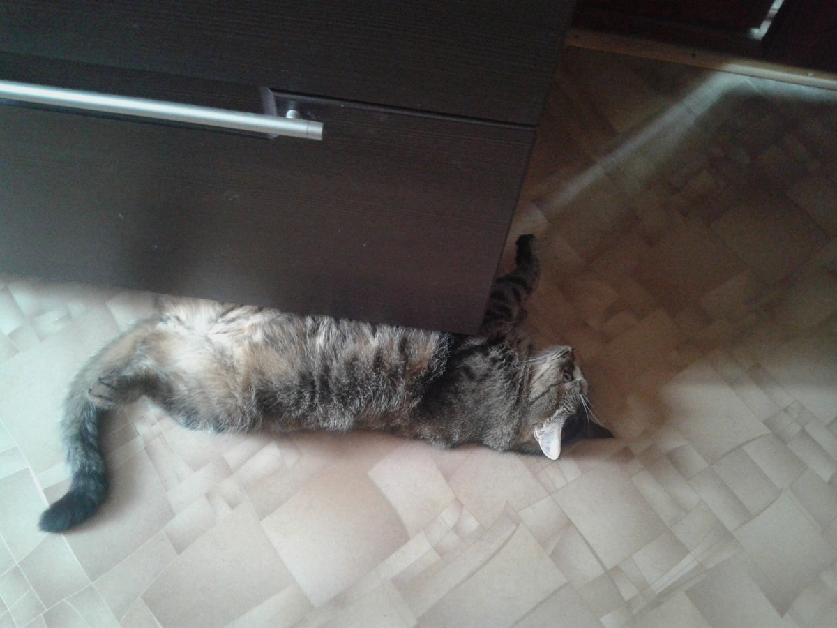 так он достает свою мышку из-под мебели