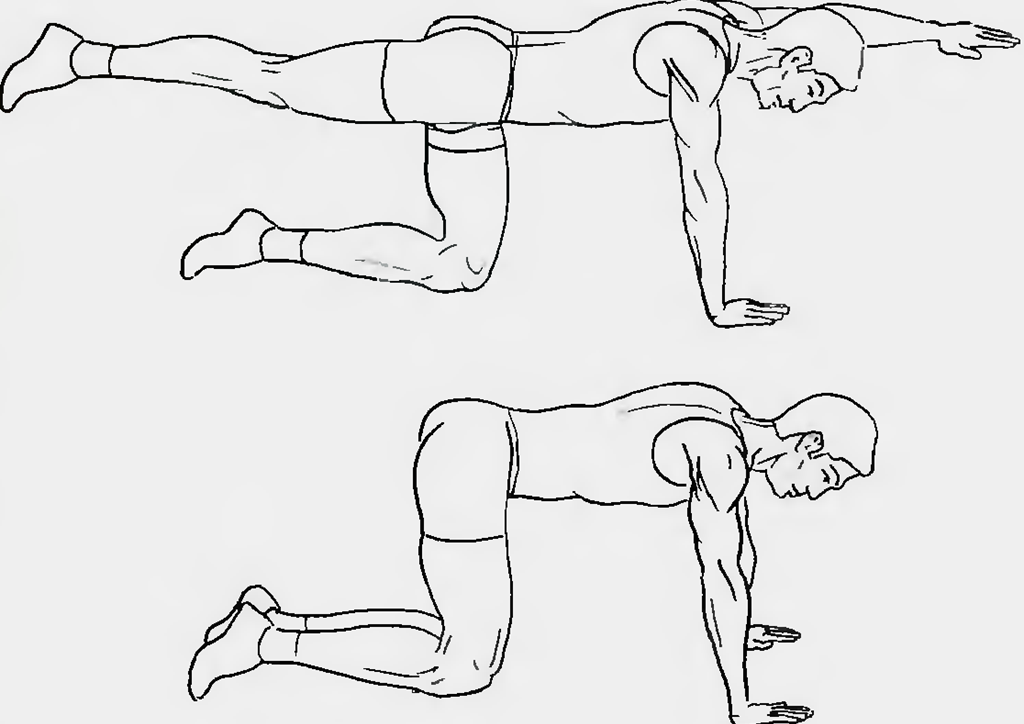 1 упражнение для спины. Упражнения на четвереньках. Упражнения для спины стоя. Упражнения стоя на четвереньках. Упражнения для спины на четвереньках.