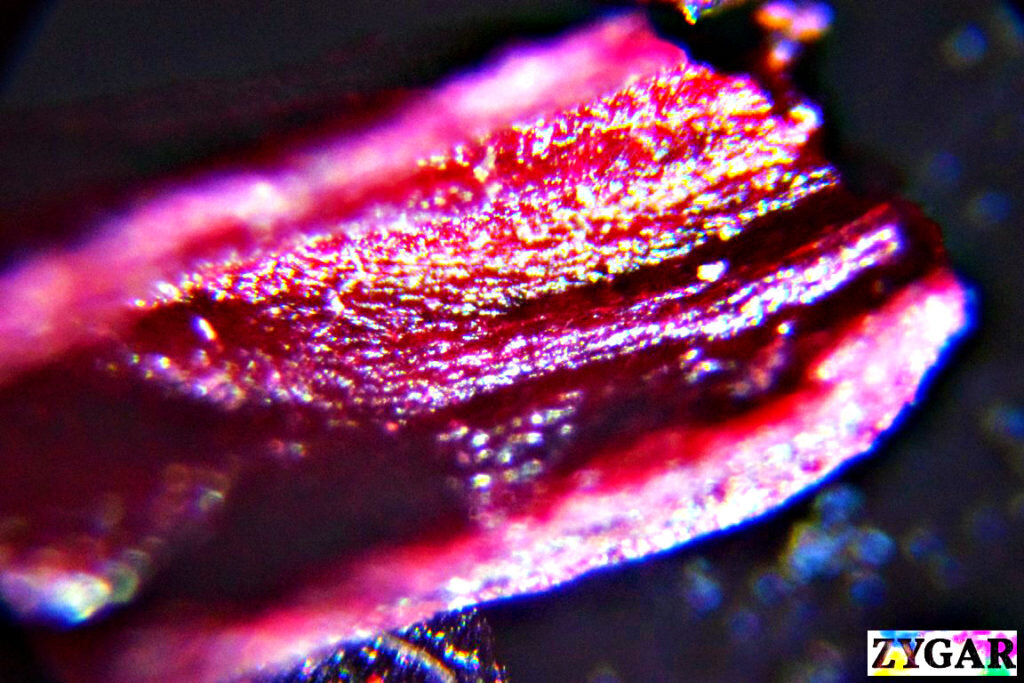 Чай под микроскопом. Tea macro photo 