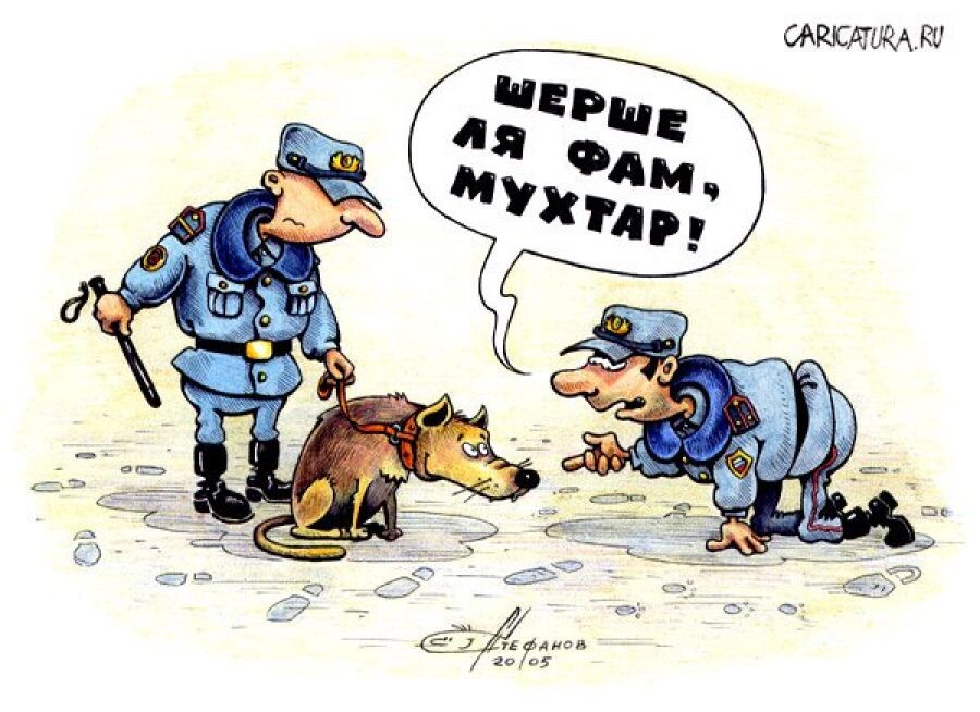 фото с сайта https://caricatura.ru/art/stefanov/url/parad/stefanov/8210/