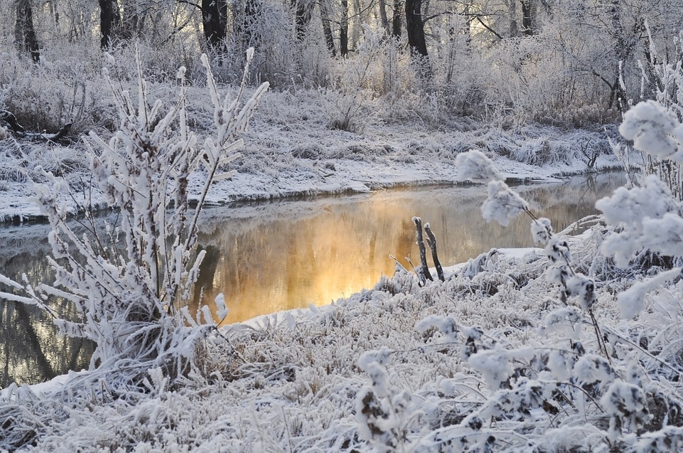  Фото: pixabay.com