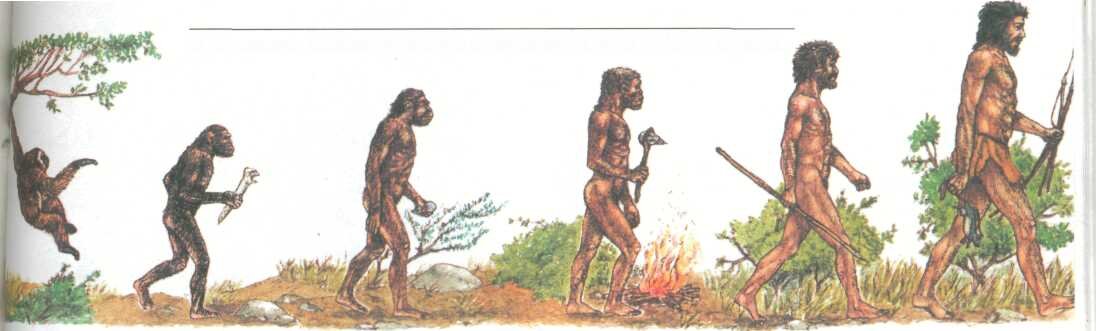 Как менялась жизнь древних людей 1 класс. Первобытные люди Эволюция. Появление древнего человека. Древние предки человека. Древние люди Эволюция.