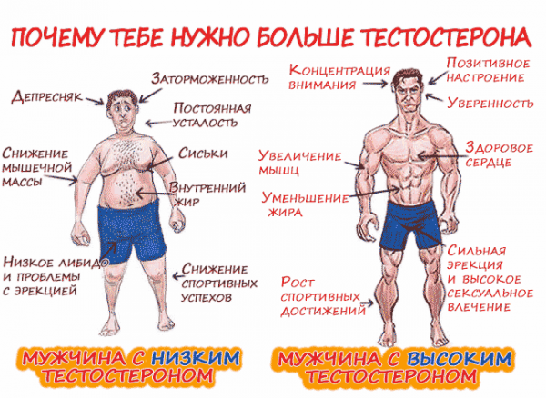 Наглядная разница между высоким и низким тестом