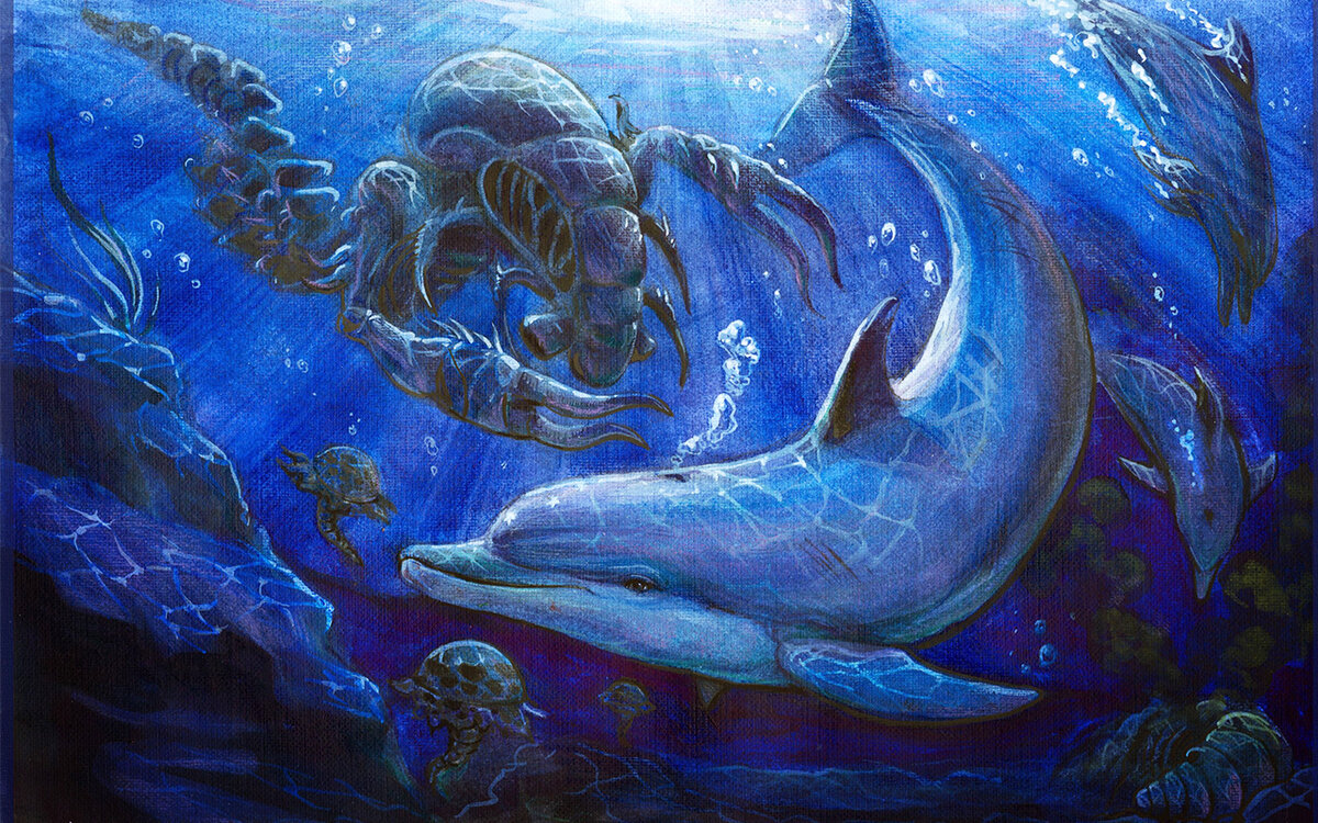 Ecco the Dolphin