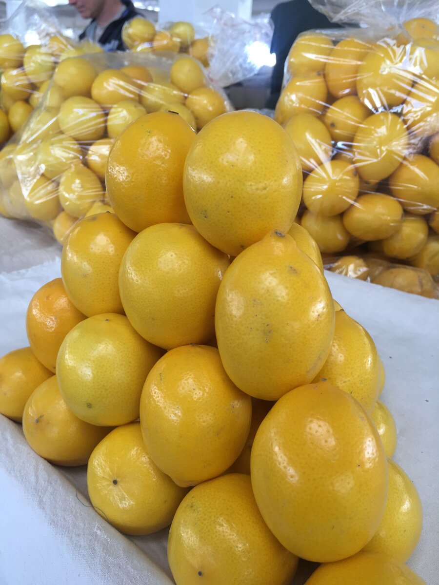 Лимоны гораздо вкуснее тех, что у нас с толстой кожурой 