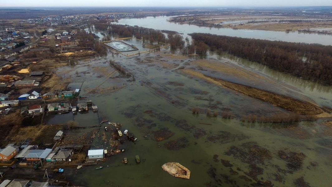 Фото: ГУ МЧС России по Омской области