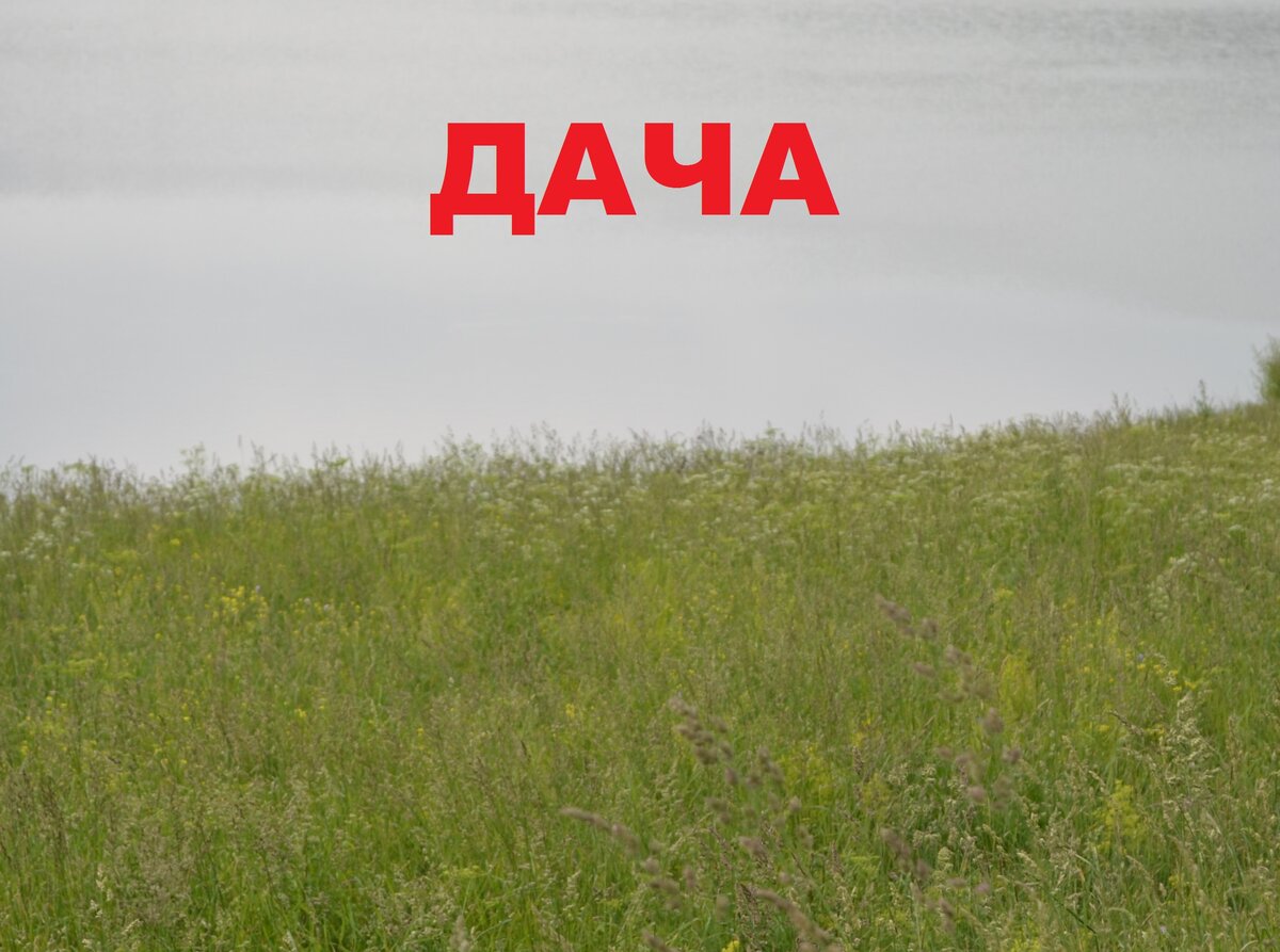 Фото все от Ипполит-продакшн