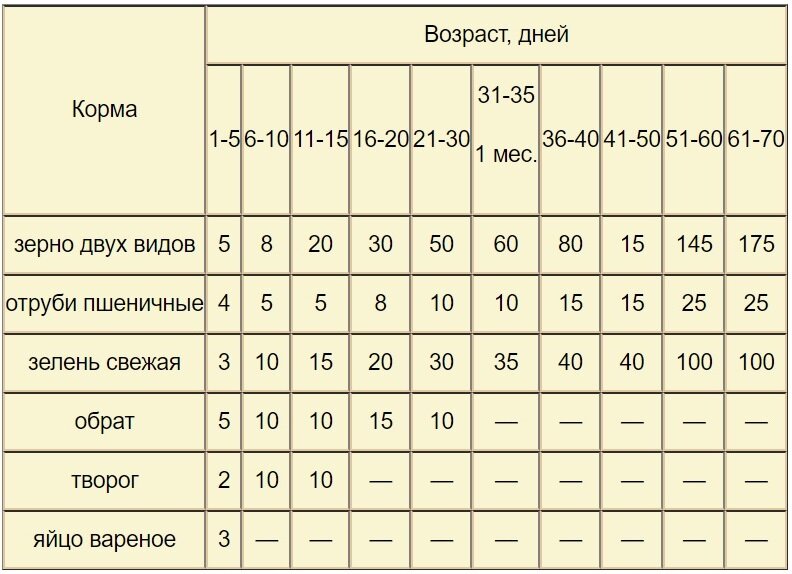 Как построить птичник для индюков в частном подворье?