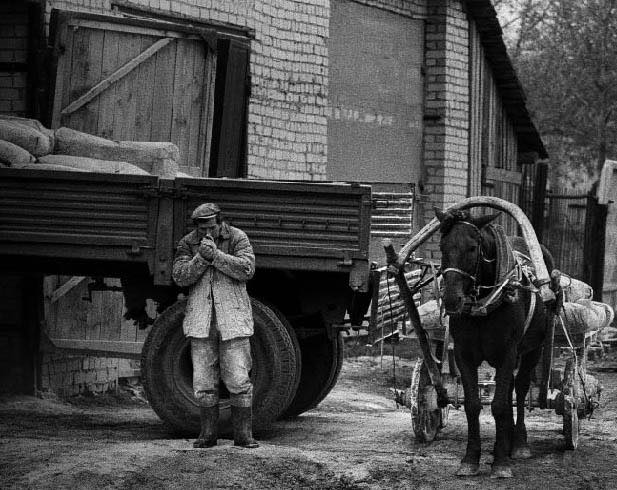 «Скрывать свой голос, лицо и тело». Талибы постановили, что звучание женского голоса — это порок