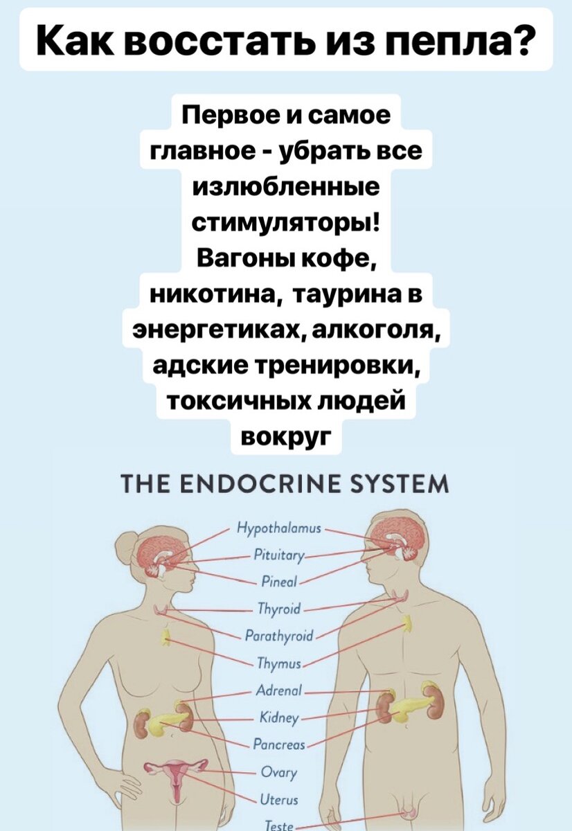 Поддержание надпочечников