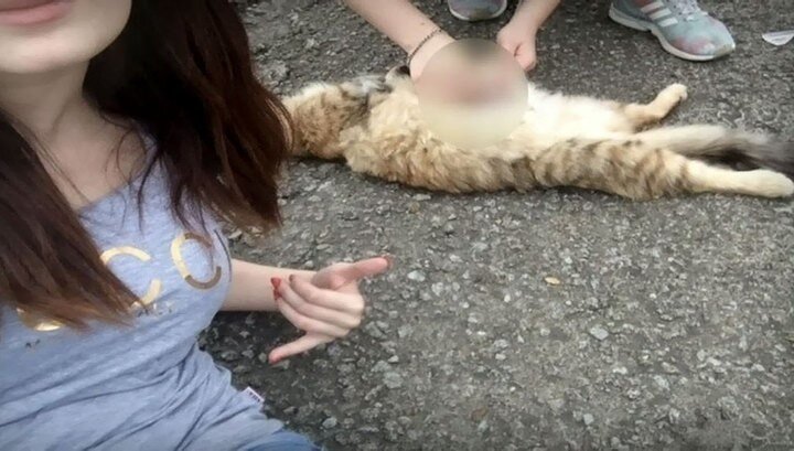 Хабаровские живодеры, девушки