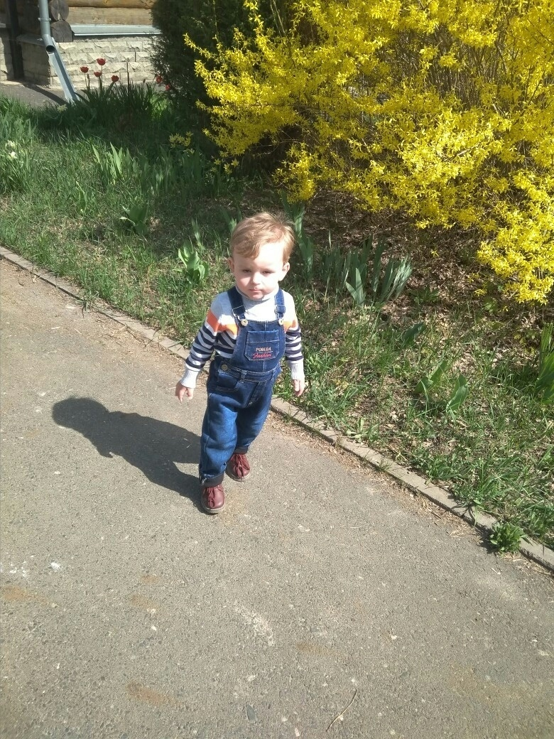 Врачебная ошибка