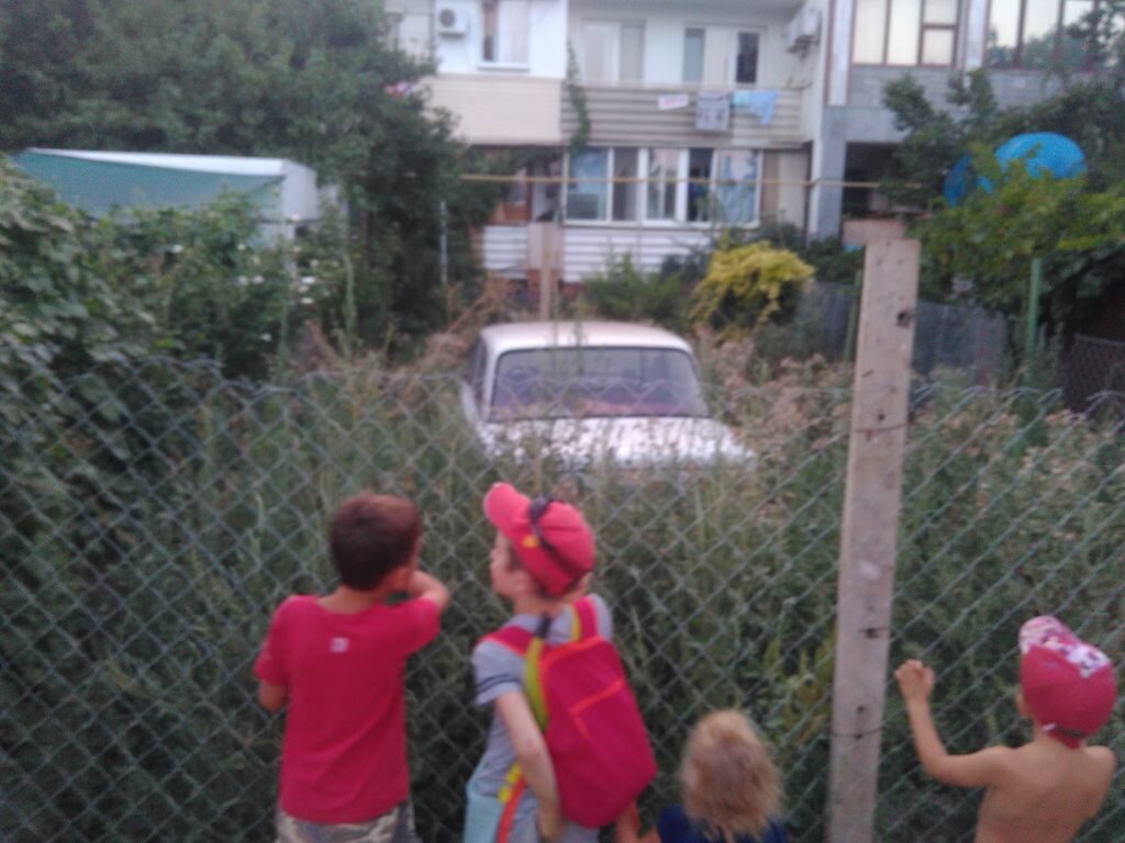 Недвижимая Движимость — Фото Наталии Поповой — Профессионального Художника