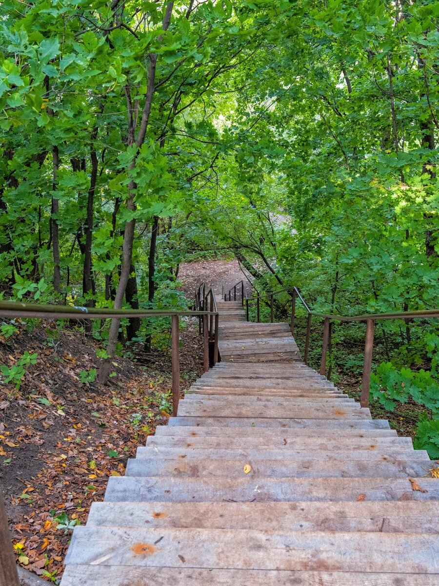 Лестница в нижнем сколько ступенек. Парк Швейцария. Парк Швейцария Нижний Новгород. Парк Швейцария лестница. Смотровая площадка парк Швейцария.