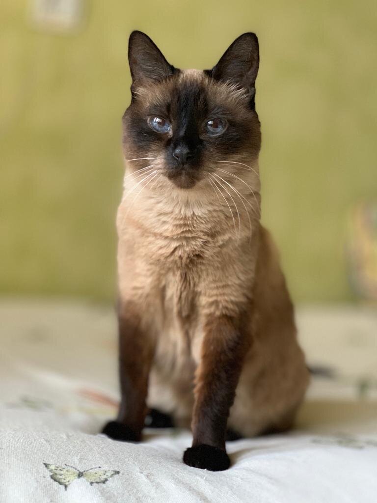 Авторское фото