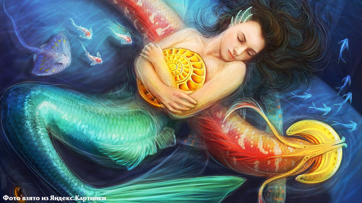 Знак Зодиака, рыбы, женственность, красота, очарование, соблазнительность